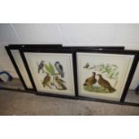 SET OF FOUR REPRODUCTION ORNITHOLOGICAL PRINTS, F/G, 70CM HIGH