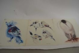 MEYER GARLEN, THREE COLOURED PRINTS, VARIOUS BIRD SPECIES, UNFRAMED