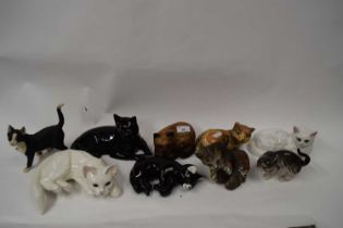COLLECTION OF MODEL CATS