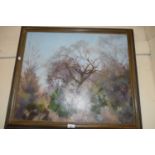 CONTEMPORARY SCHOOL, STUDY OF WINTER TREES, OIL ON CANVAS, FRAMED, 74CM WIDE