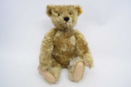 Teddy bear with Steiff button