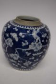 Large Chinese porcelain ginger jar, the blue ground with prunus decoration, 19th century (glaze