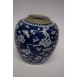 Large Chinese porcelain ginger jar, the blue ground with prunus decoration, 19th century (glaze