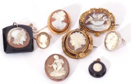 Selection of cameo jewellery to include brooches, an antique shell cameo Pliny's dove example, a boy