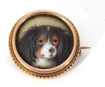 Vintage dog brooch depicting a spaniel, hand painted on porcelain and framed in yellow metal