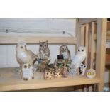 COLLECTION OF MODEL OWLS