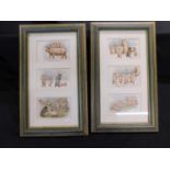 Set of 6 colourful playful pig picture postcards in 2 glazed frames