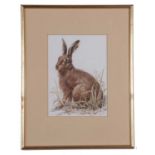 John Last (British Contemporary), Seated hare, watercolour, signed, 10x7ins. Framed and glazed