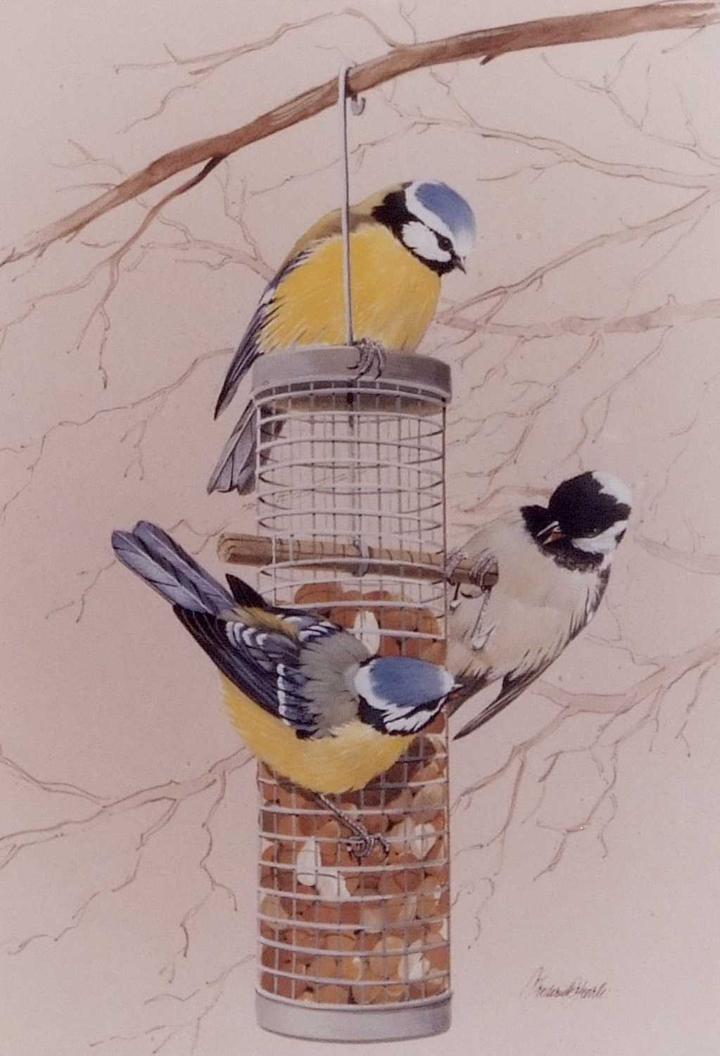 Frederick T. Searle (British, 20th Century), Tits on a feeder, coloured print, framed and glazed.