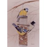 Frederick T. Searle (British, 20th Century), Tits on a feeder, coloured print, framed and glazed.