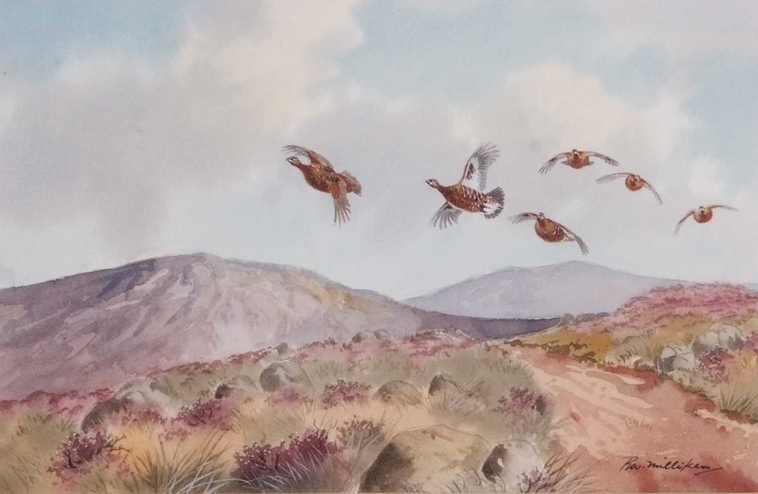 Robert W Milliken (Irish, 1920-2014), A covey of grouse over moorland, watercolour. signed. - Image 2 of 2