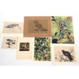 Portfolio of 18 original watercolours by Robert George, Richard Barratt, and Chloe Talbot Kelly,