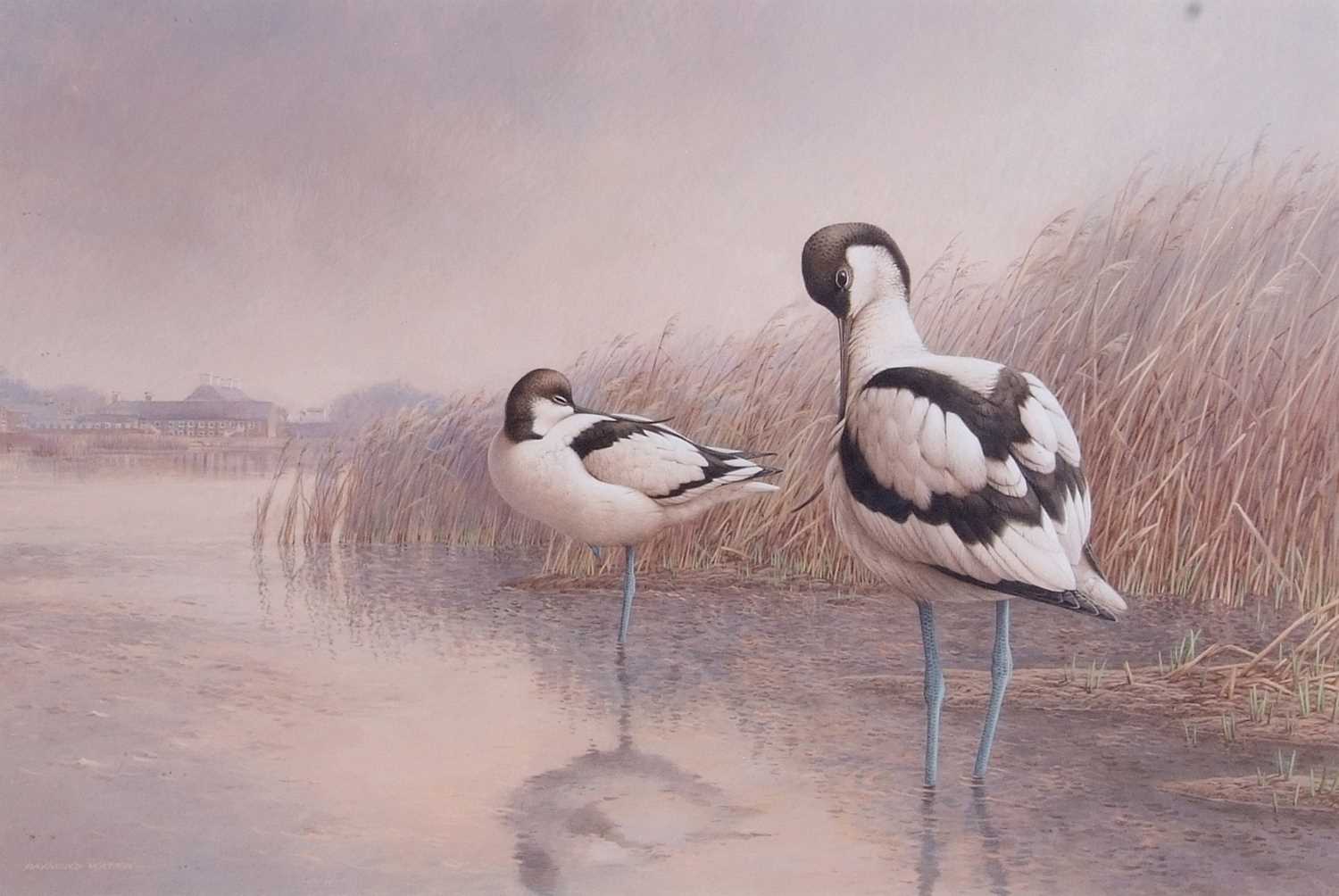 Raymond C. Watson (British, 1935-1994), Avocets, watercolour, signed. 14x21 - Image 2 of 2