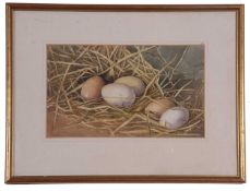 British School, 20th Century, Egg, Still Life, Watercolour, indistinctly signed, approx 7x12in