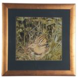 Michael P. Jevon (British, Contemporary), Corncrake nesting, gouache on card, signed.13x13ins.