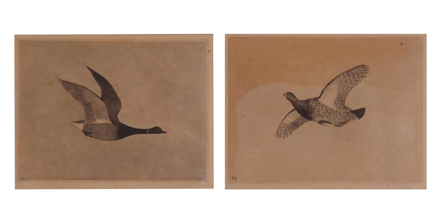 Robert Dunholm (British, 20th century), A pair of etchings depicting a goose and grouse in flight, - Image 5 of 5