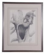 Terence Lambert (British, Contemporary), A pencil study of a tawny owl, signed, mounted and
