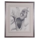 Terence Lambert (British, Contemporary), A pencil study of a tawny owl, signed, mounted and