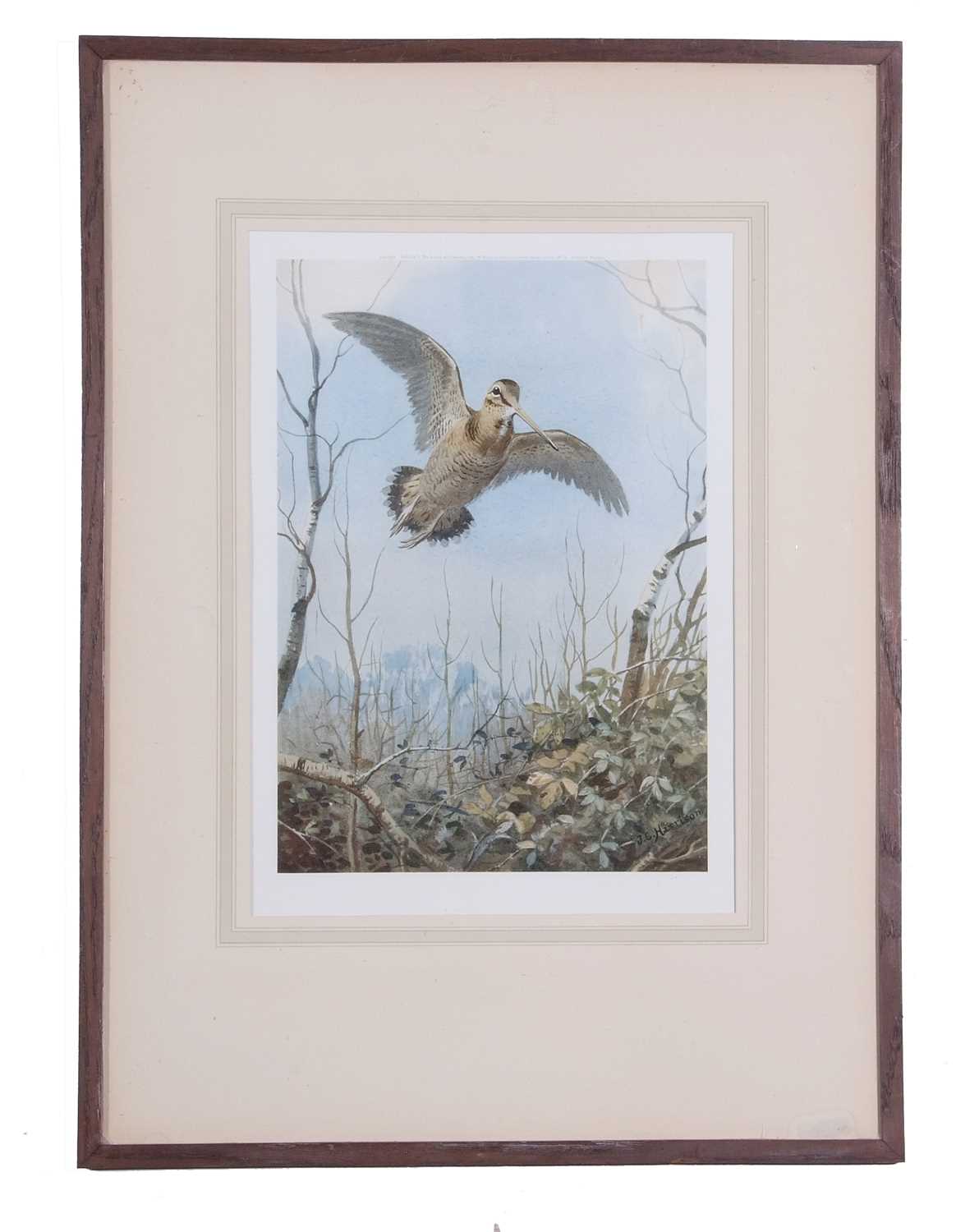 After John Cyril Harrison, A pair of prints featuring a woodcock and snipe breaking cover, framed - Image 2 of 5