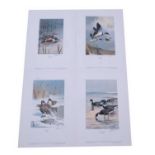 J.C.Harrison (British, 1898-1985), set of 4 signed limited edition prints 1981 - shoveler, shelduck,