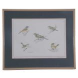 Richard Allan Richardson (British, 20th century), Assortment of garden birds, limited edition, 103/