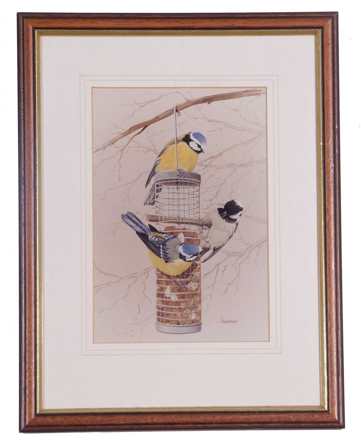 Frederick T. Searle (British, 20th Century), Tits on a feeder, coloured print, framed and glazed. - Image 2 of 2