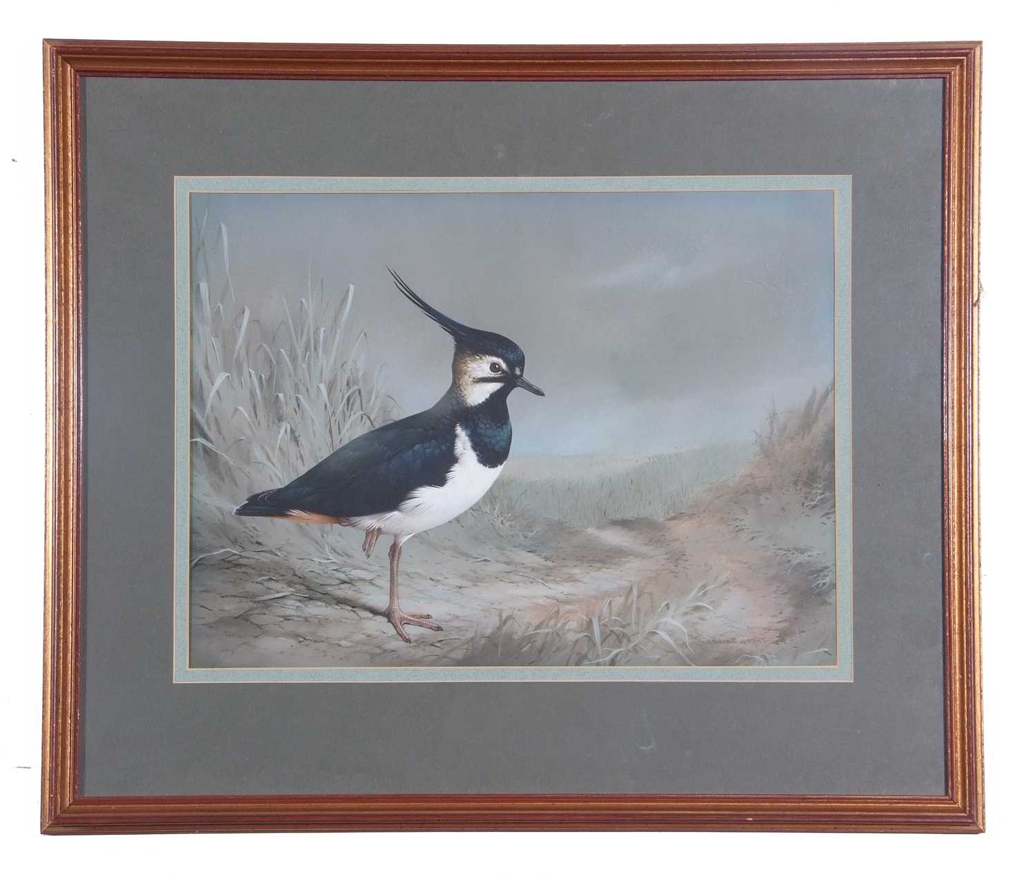 Raymond C. Watson (British, 1935-1994), Lapwing, watercolour, signed. 11x16