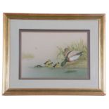 J.A. Morris (British, 20th century) Mallard ducks with young, watercolour and gouache, signed and