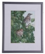 British School, Pair of Songthrushes, from a limited edition calendar 2008/9, 18x22ins (inscribed