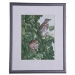 British School, Pair of Songthrushes, from a limited edition calendar 2008/9, 18x22ins (inscribed