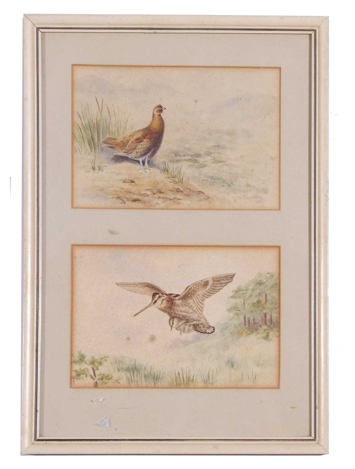 British School, Two watercolour studies, including a woodcock carrying young, 4x6ins, mounted and