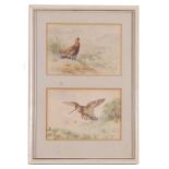 British School, Two watercolour studies, including a woodcock carrying young, 4x6ins, mounted and
