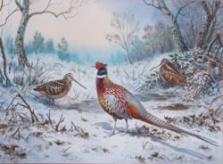 Ornithology, Wildlife and Sporting Art