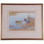 Richard Robjent (British, 20th Century), A brace of Teal, watercolour, signed. 10x13ins