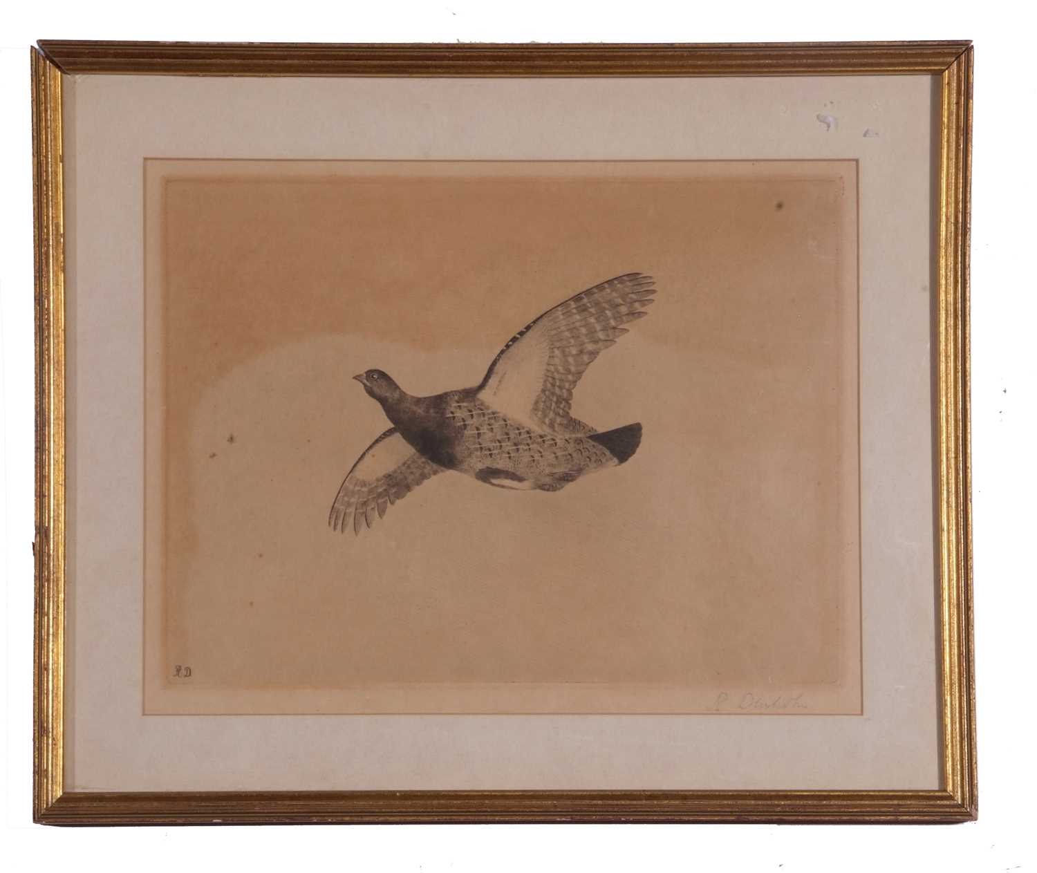 Robert Dunholm (British, 20th century), A pair of etchings depicting a goose and grouse in flight, - Image 3 of 5