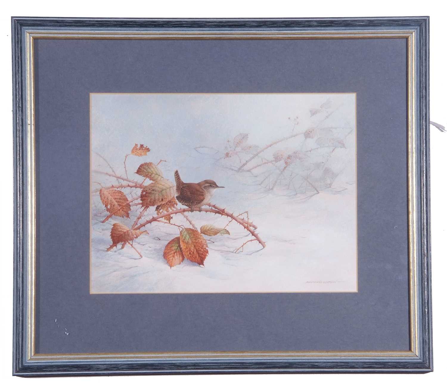 Raymond C. Watson (British, 1935-1994), Wren, watercolour, signed. 7x10 - Image 2 of 2