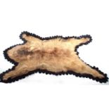 20th century possibly circa 20s/30s Syrian Brown Bear (Ursus arctos Syriacus) skin rug on black felt