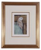 David Ord Kerr (British, 20th century), 'Barn Owl', watercolour, signed, framed and glazed, 7x5ins