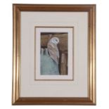 David Ord Kerr (British, 20th century), 'Barn Owl', watercolour, signed, framed and glazed, 7x5ins