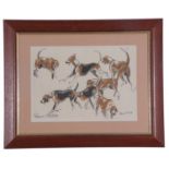 A pair of fox hound studies in various movements / angles, chromolithographs, 9x12.4ins, indistictly