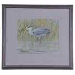 Frederick T. Searle (British, 20th Century), Herron next to a reedbed, watercolour, signed, framed