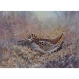 Colin Burns (British, b. 1944- ), "Woodcock in autumn", watercolour, signed lower left. Framed and