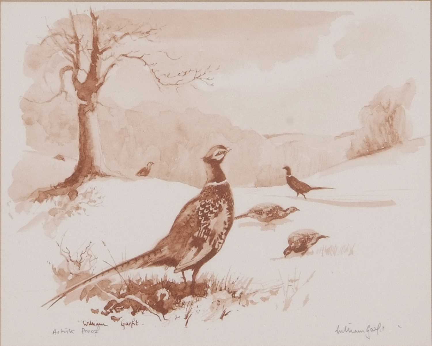 William Garfit (British, 20th century), Pheasants, sepia watercolour, artists proof, signed, - Image 2 of 2