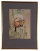 John Last (British Contemporary), Red Squirrel, watercolour, signed, 10x7ins. Framed and