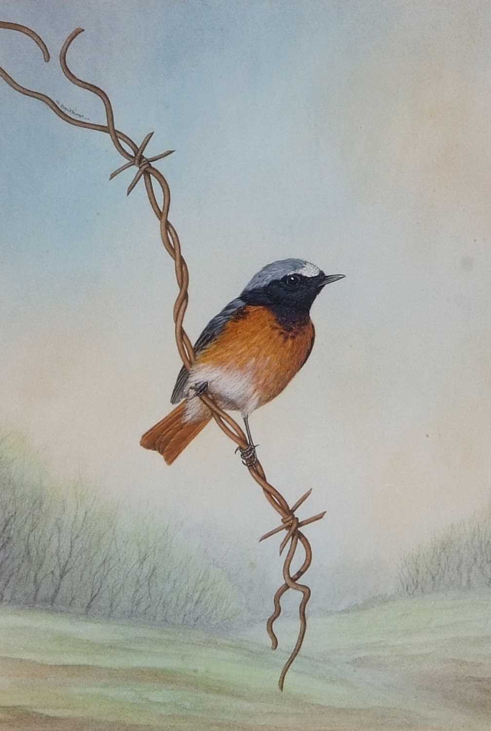 David Smithurst (British, 1942-2001), Three watercolour studies; spotted woodpecker, redstart and - Image 6 of 6