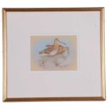Richard Robjent (British, 20th Century), A wisp of snipe, watercolour, signed. Framed. 4.5x6ins