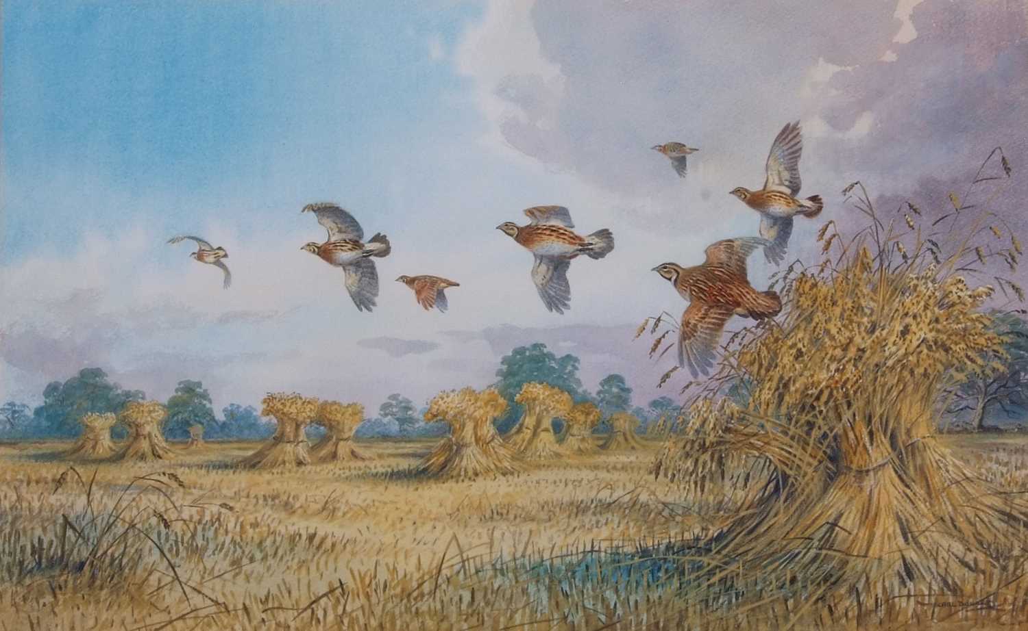 Carl Martin Donner (British, 20th century), 'A Bevy of Quail of The Stook's, watercolour, signed, - Image 2 of 2