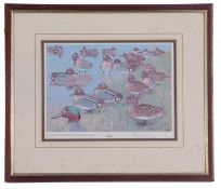 Peter Scott (British, 20th Century), Spring of teal, limited edition print, numbered 18/350 and