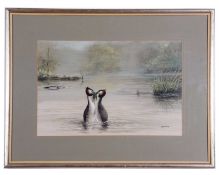 John Frank Haywood (British, 20th Century), Great crested grebes courtship display, gouache, signed,