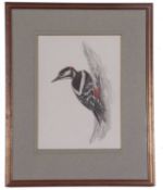 David Smithurst (British, 1942-2001), Three watercolour studies; spotted woodpecker, redstart and